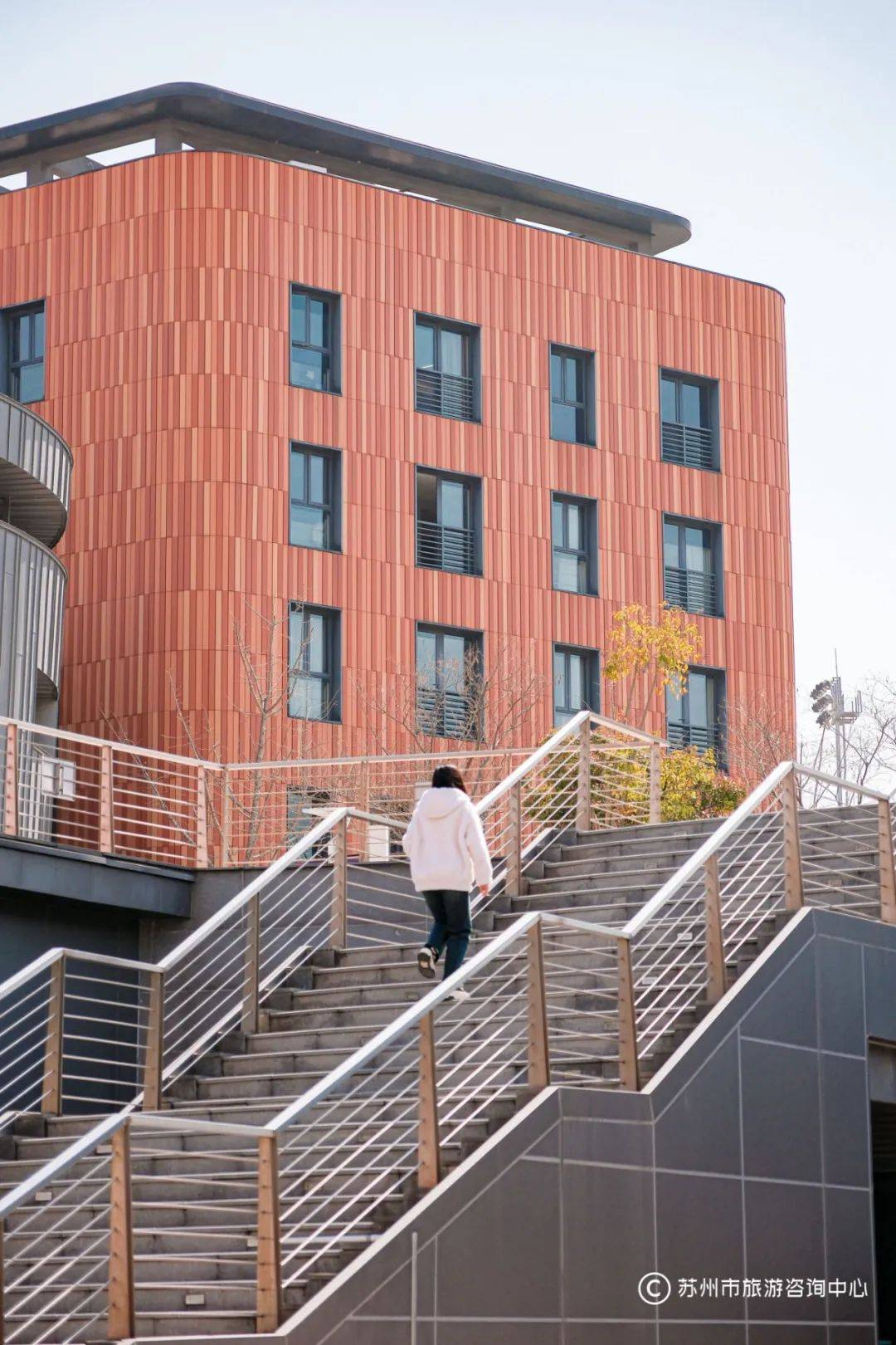 周末好天气！西交利物浦大学逛校园、赏樱花、打卡“涂鸦隧道”吧